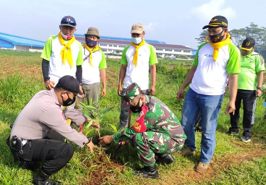 Detail Gambar Penghijauan Untuk Mencegah Banjir Nomer 42