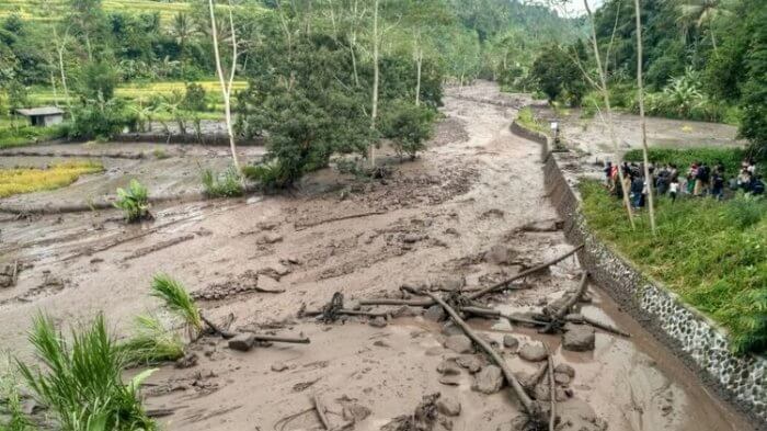 Detail Gambar Penghijauan Untuk Mencegah Banjir Nomer 10