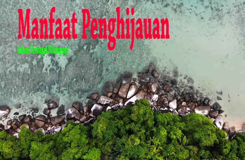 Detail Gambar Penghijauan Untuk Mencegah Banjir Gambar Mengurangi Polusi Udara Nomer 4