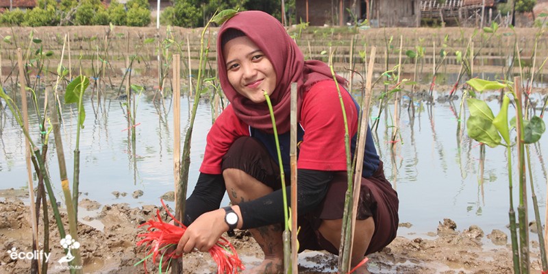 Detail Gambar Penghijauan Untuk Mencegah Banjir Gambar Mengurangi Polusi Udara Nomer 14