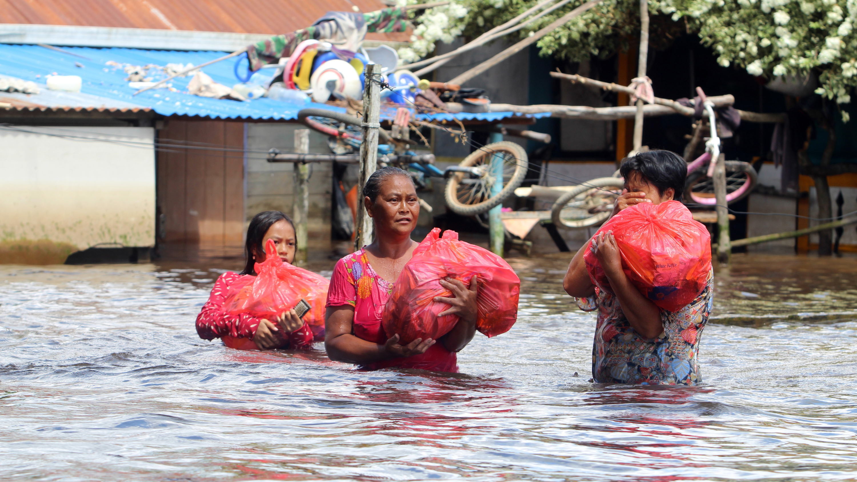 Detail Gambar Penghijauan Untuk Mencegah Banjir Gambar Mengurangi Polusi Udara Nomer 15