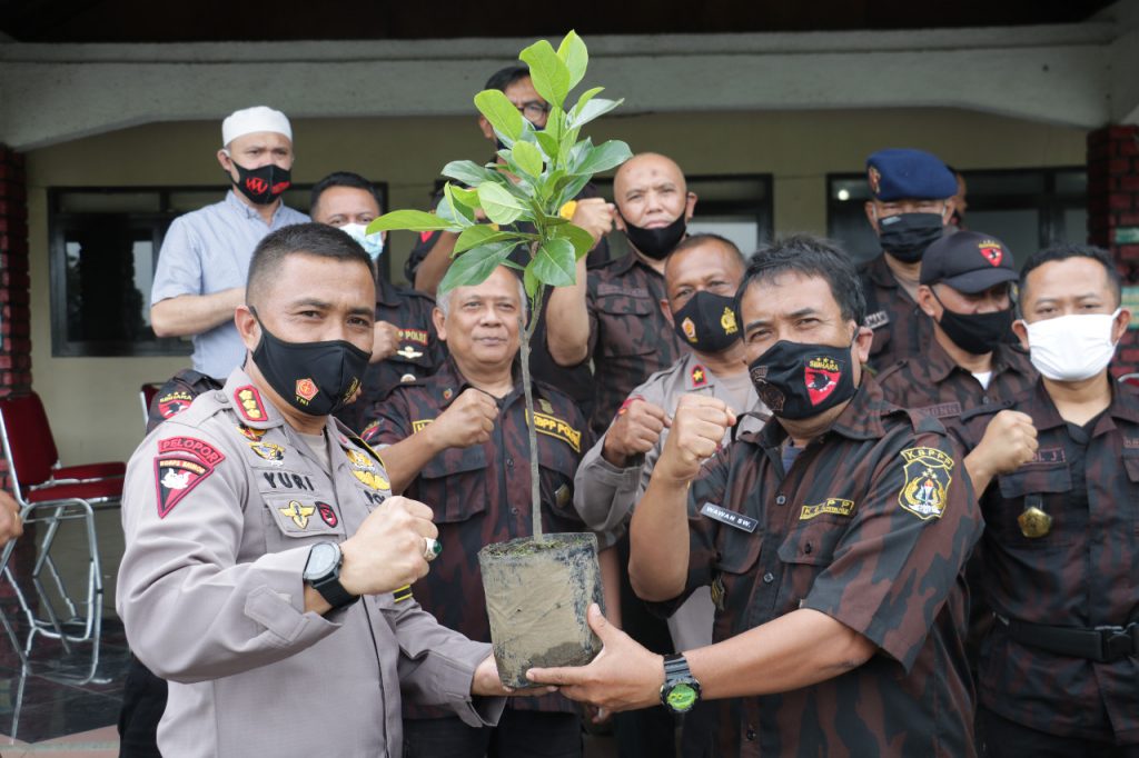 Detail Gambar Penghijauan Untuk Mencegah Banjir Gambar Mengurangi Polusi Udara Nomer 18