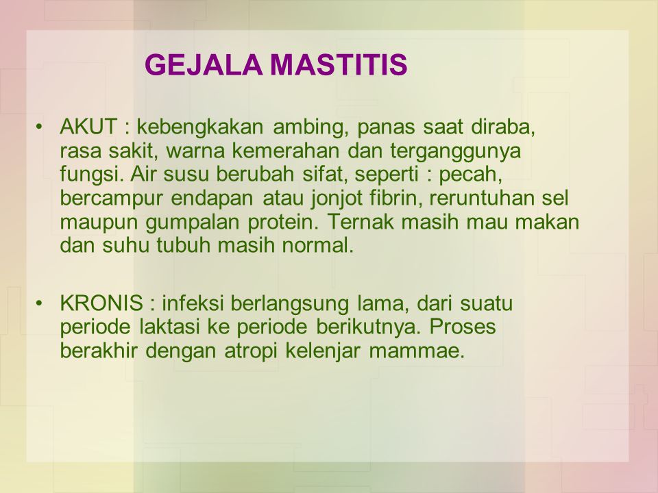 Detail Gambar Penyakit Mastitis Nomer 27