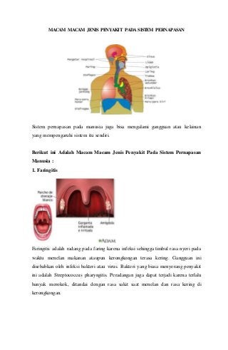 Detail Gambar Penyakit Pernafasan Manusia Nomer 13