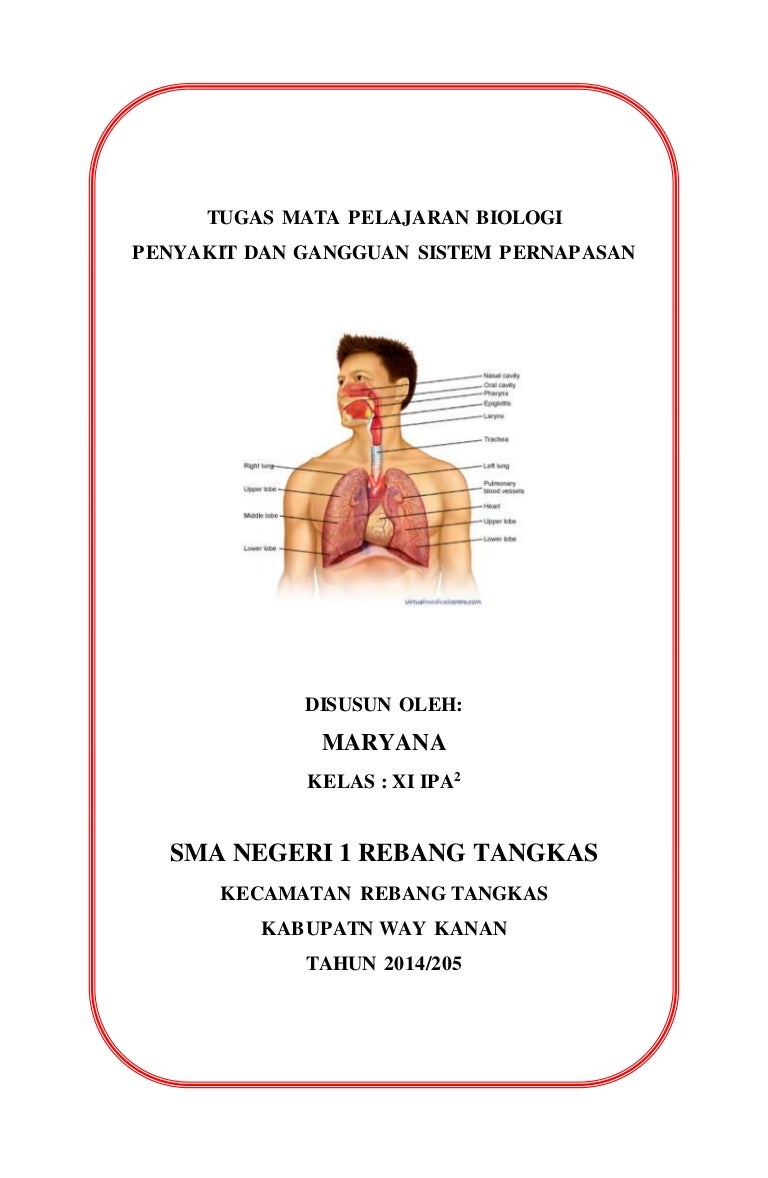 Detail Gambar Penyakit Pernafasan Manusia Nomer 17