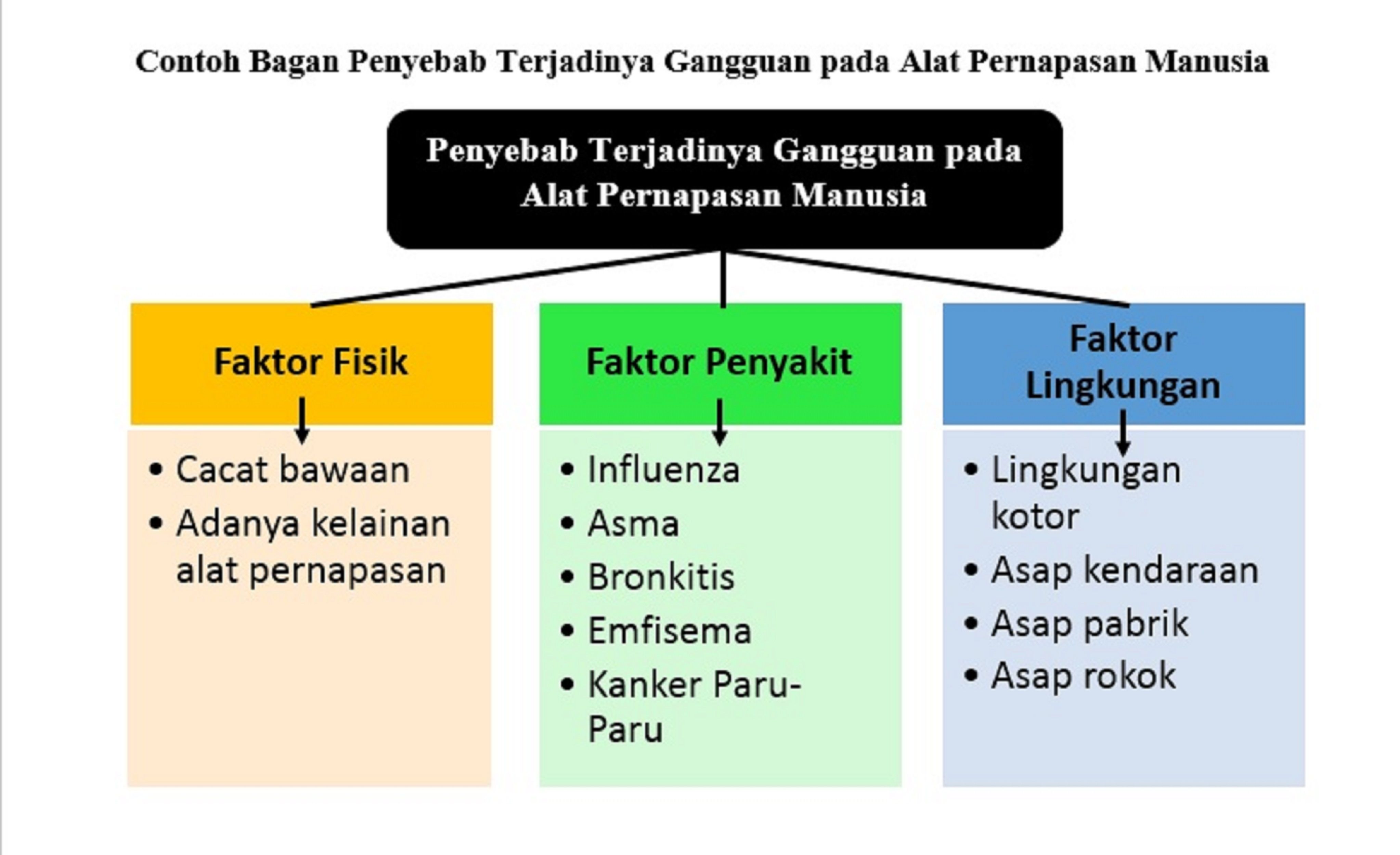 Detail Gambar Penyakit Pernafasan Manusia Nomer 48