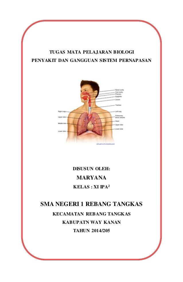 Detail Gambar Penyakit Pernafasan Manusia Serta Keterangannya Nomer 11