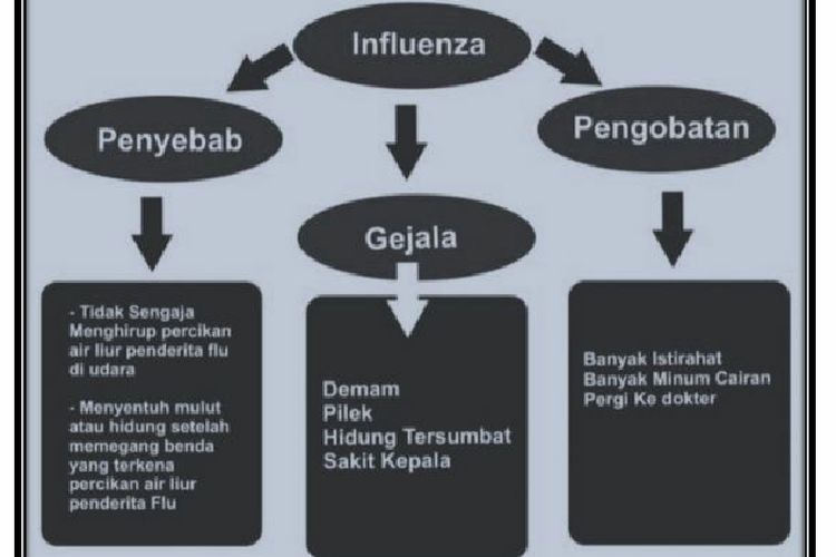 Detail Gambar Penyakit Pernafasan Manusia Serta Keterangannya Nomer 20