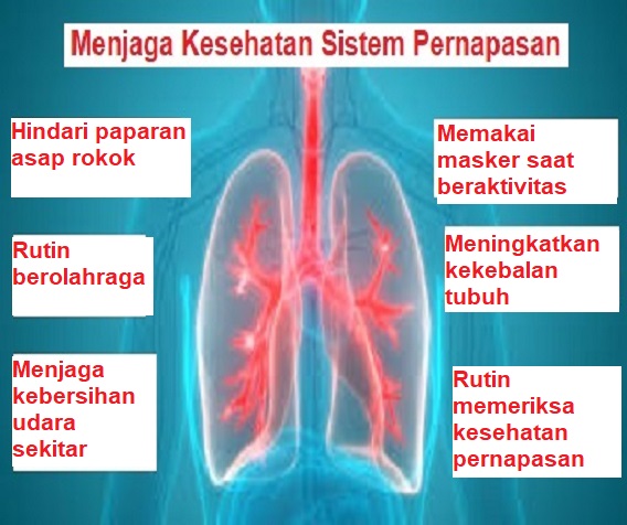 Detail Gambar Penyakit Pernafasan Manusia Serta Keterangannya Nomer 34