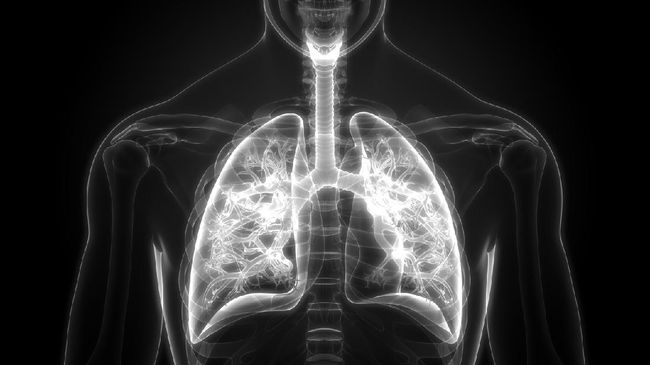 Detail Gambar Penyakit Pernafasan Manusia Serta Keterangannya Nomer 40