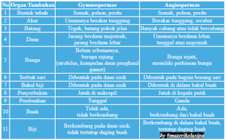 Detail Gambar Penyerbukan Gambar Penyerbukan Pada Gymnospermae Nomer 25