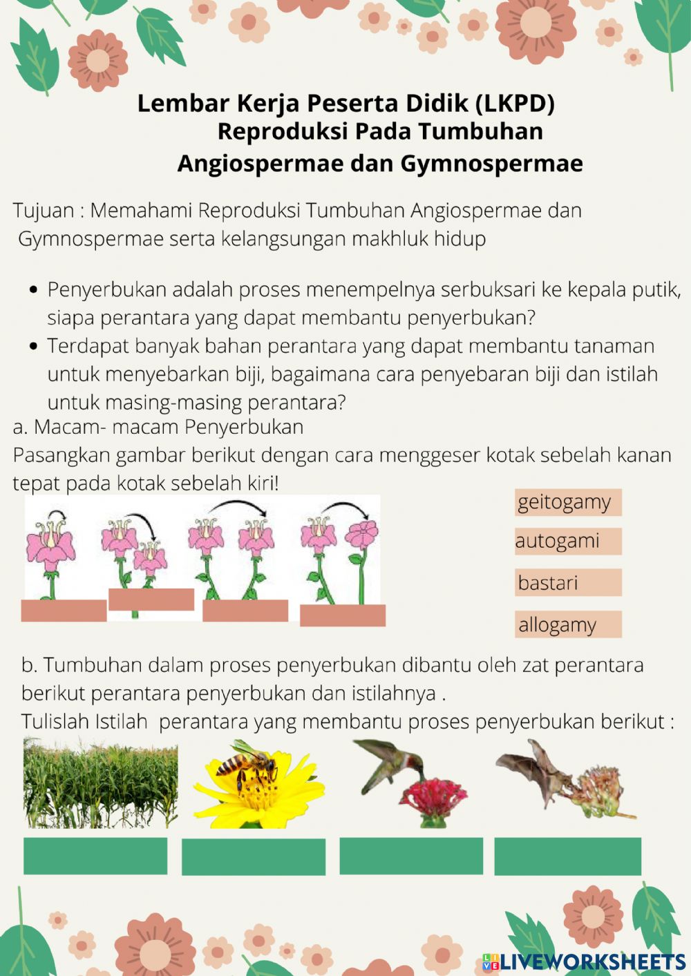 Detail Gambar Penyerbukan Gambar Penyerbukan Pada Gymnospermae Nomer 26