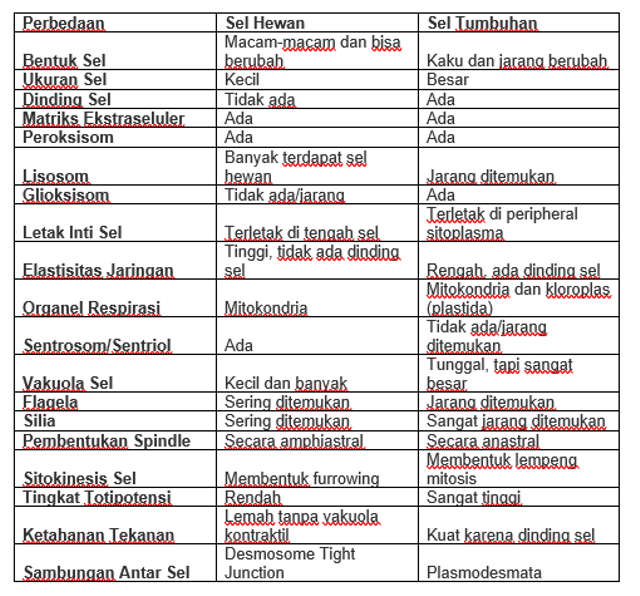 Detail Gambar Perbedaan Sel Hewan Dan Sel Tumbuhan Nomer 14