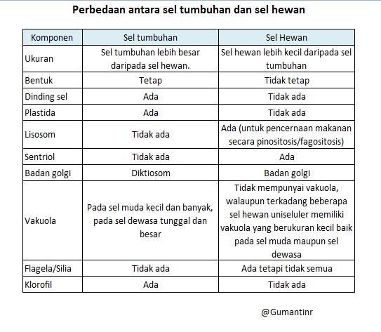 Detail Gambar Perbedaan Sel Hewan Dan Sel Tumbuhan Nomer 25