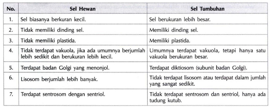 Detail Gambar Perbedaan Sel Hewan Dan Sel Tumbuhan Nomer 26