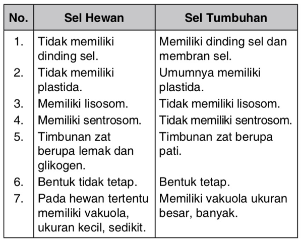 Detail Gambar Perbedaan Sel Hewan Dan Sel Tumbuhan Nomer 30