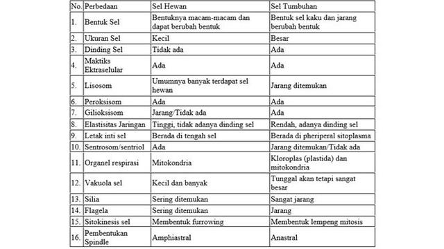 Detail Gambar Perbedaan Sel Hewan Dan Sel Tumbuhan Nomer 41