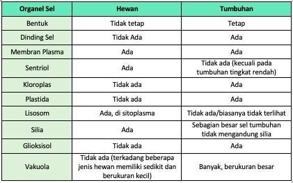 Detail Gambar Perbedaan Sel Hewan Dan Sel Tumbuhan Nomer 43