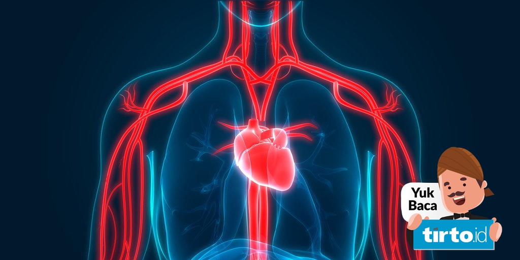 Detail Gambar Peredaran Darah Manusia Beserta Penjelasannya Nomer 25