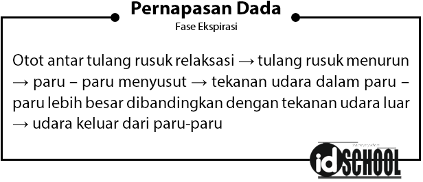 Detail Gambar Pernapasan Dada Nomer 24