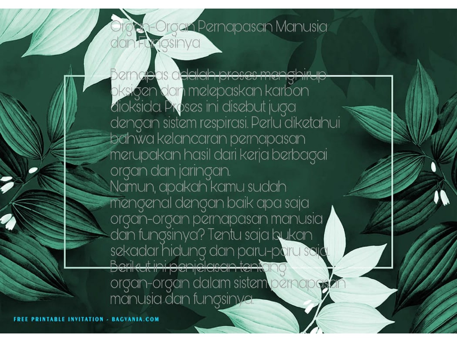 Detail Gambar Pernapasan Manusia Gambar Bagian Daun Nomer 31