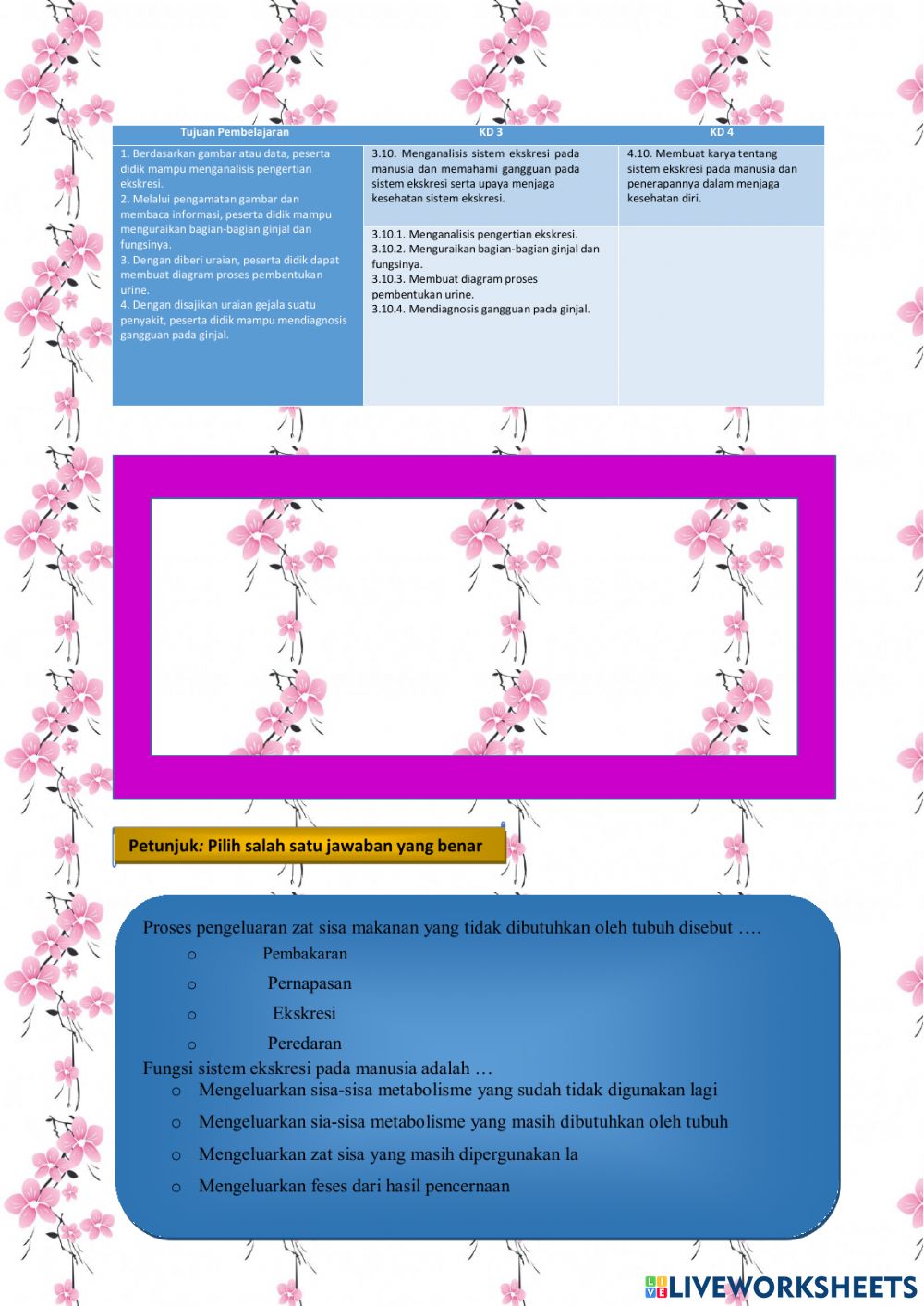 Detail Gambar Pernapasan Manusia Gambar Sistem Ekskresi Ginjal Nomer 51