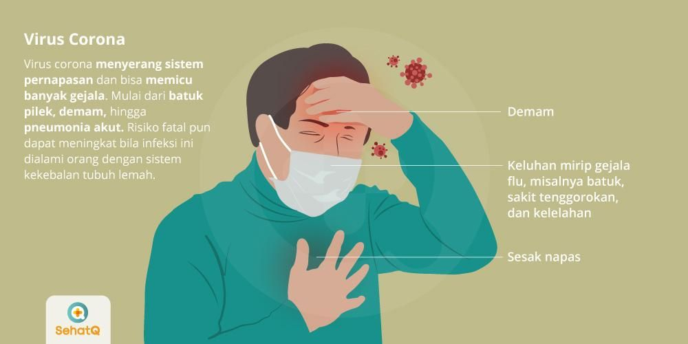 Detail Gambar Pernapasan Manusia Serta Penyakit Nomer 45