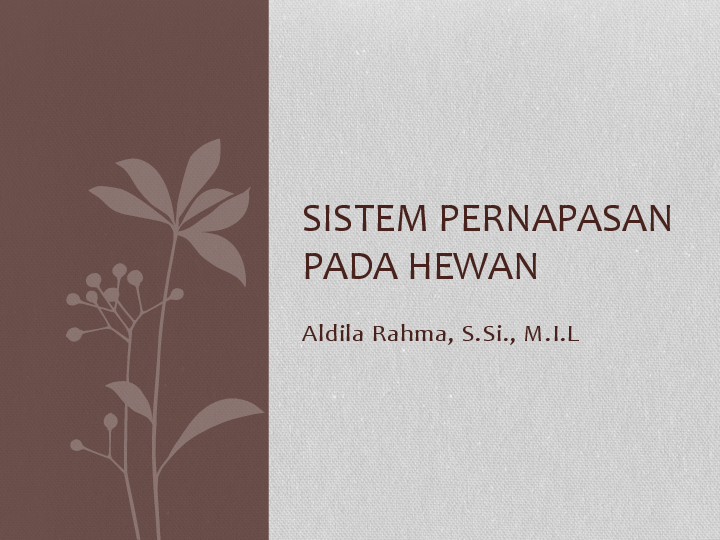 Detail Gambar Pernapasan Pada Hewan Nomer 48