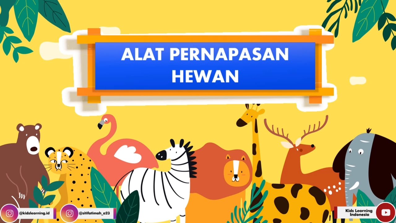 Detail Gambar Pernapasan Pada Hewan Nomer 51