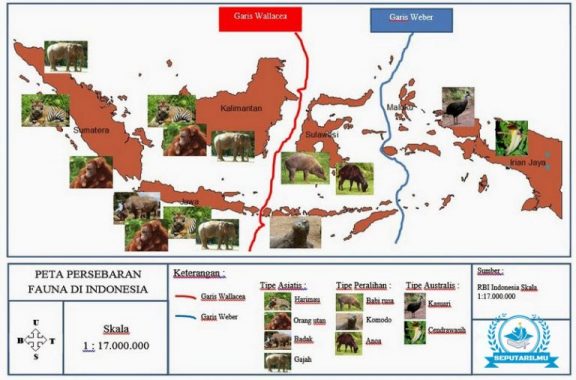 Detail Gambar Persebaran Fauna Nomer 9