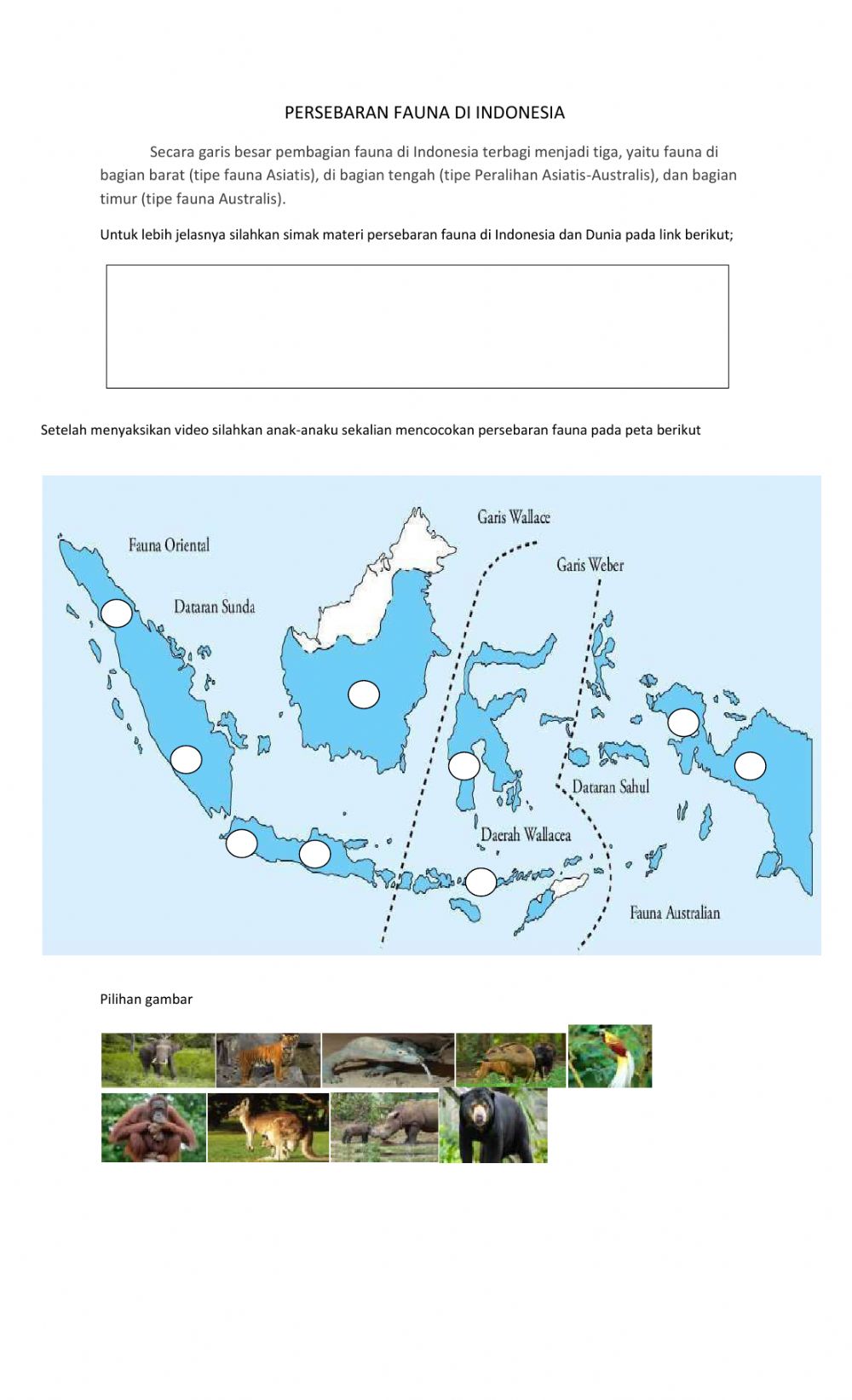 Detail Gambar Persebaran Fauna Di Indonesia Nomer 17