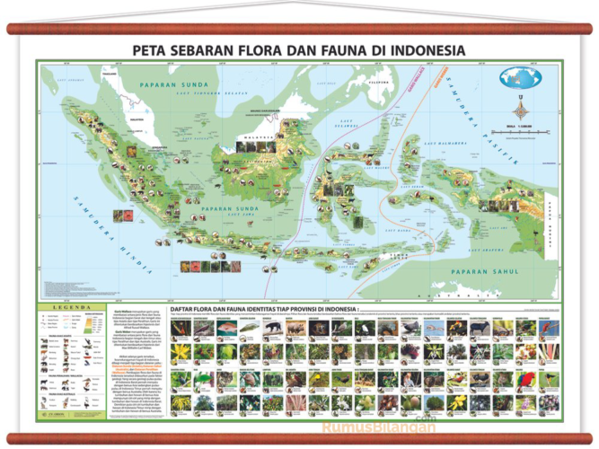 Detail Gambar Persebaran Fauna Di Indonesia Nomer 32