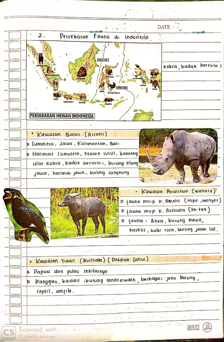 Detail Gambar Persebaran Fauna Di Indonesia Nomer 33