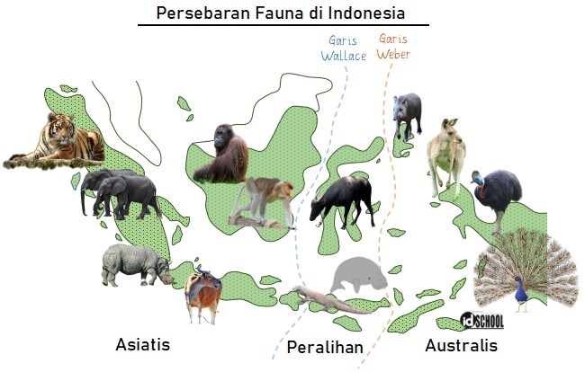 Detail Gambar Persebaran Fauna Di Indonesia Nomer 34