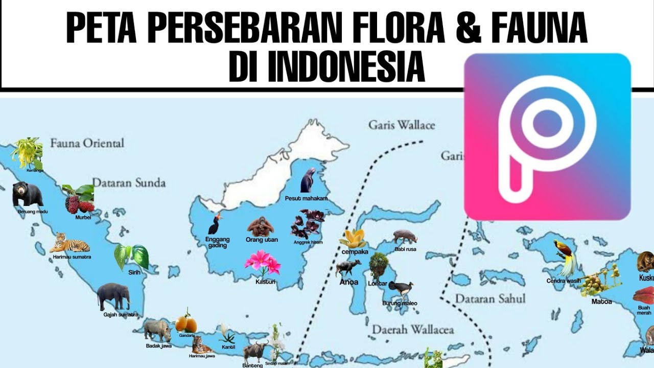 Detail Gambar Persebaran Fauna Di Indonesia Nomer 43