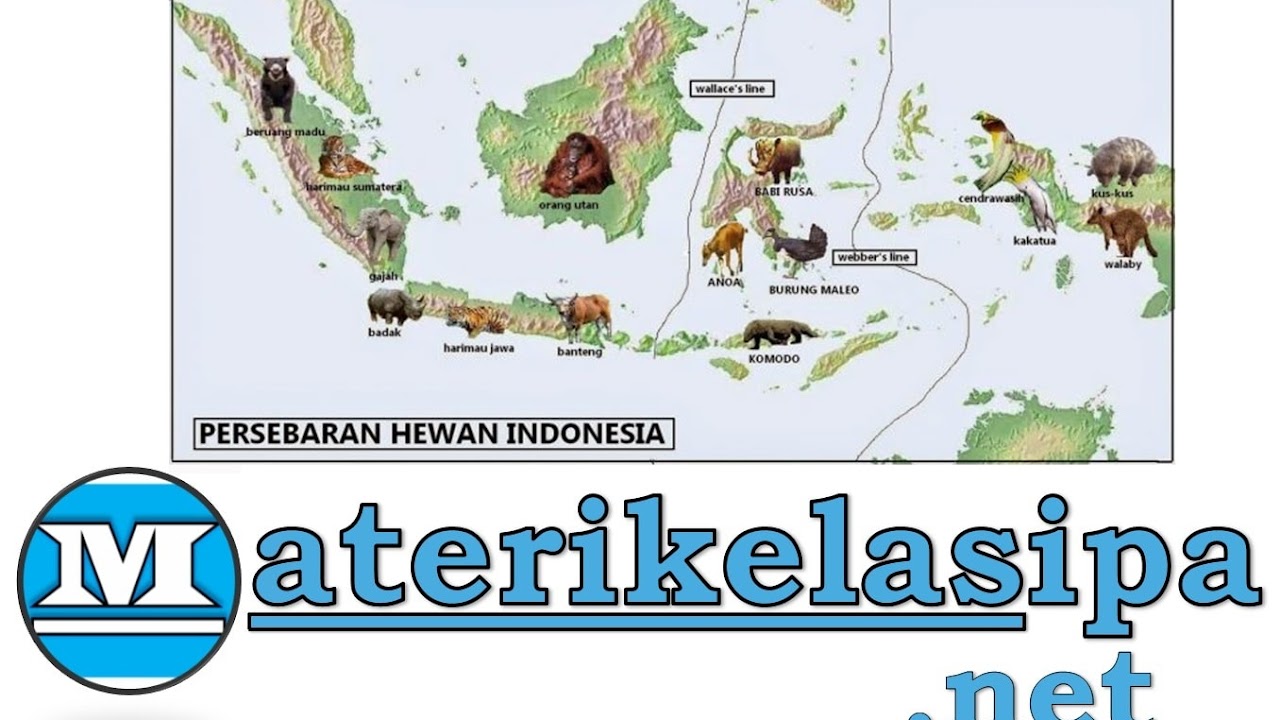 Detail Gambar Persebaran Fauna Di Indonesia Nomer 51