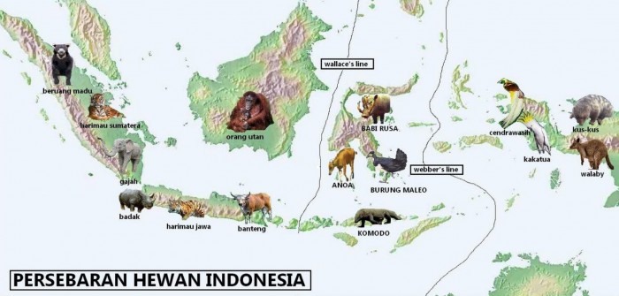 Gambar Persebaran Flora Dan Fauna Di Indonesia - KibrisPDR