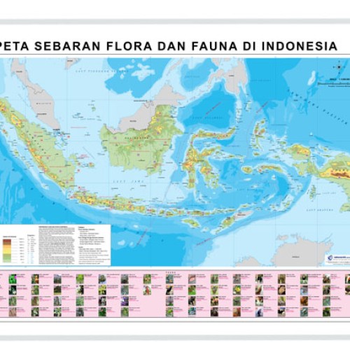 Detail Gambar Persebaran Flora Dan Fauna Di Indonesia Nomer 18