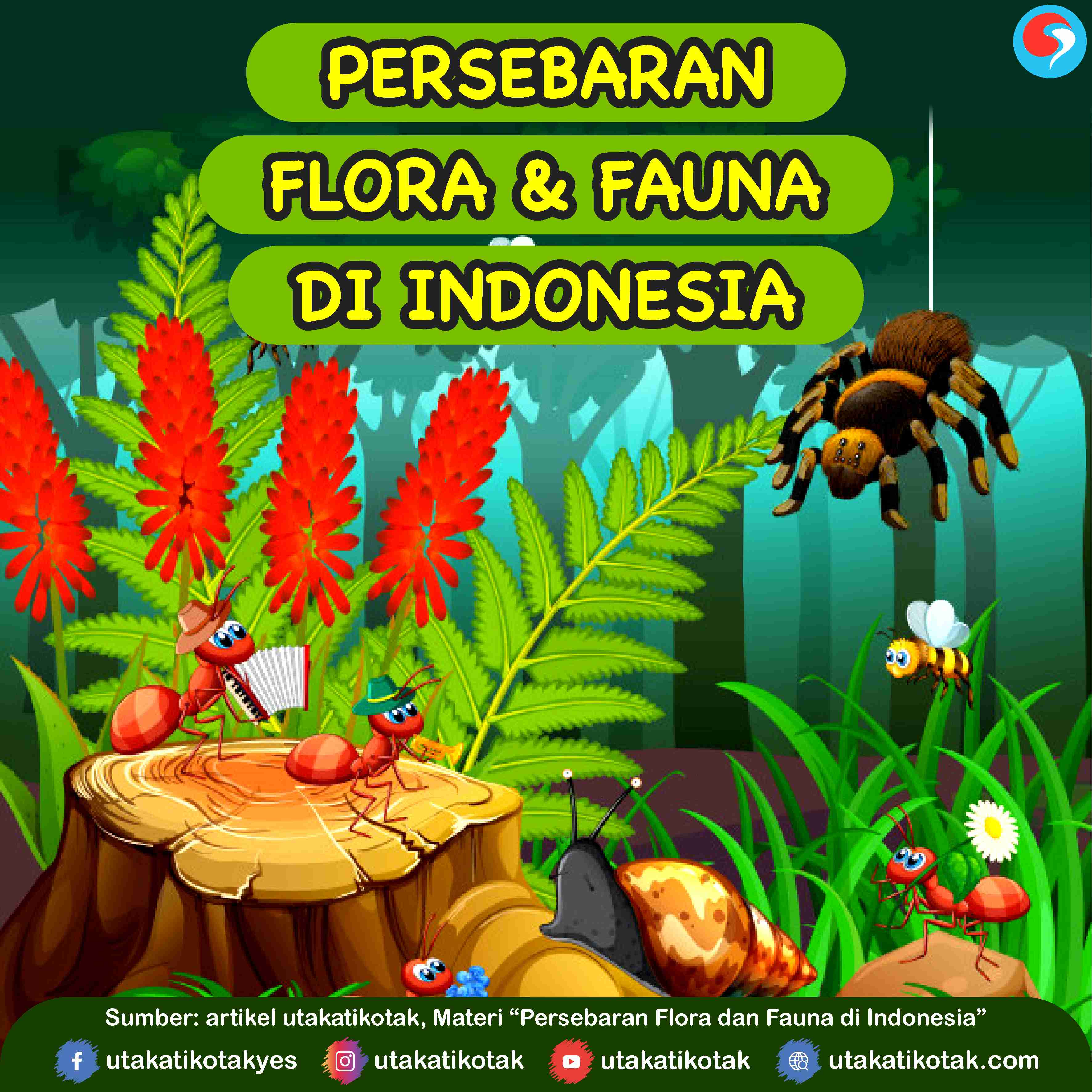 Detail Gambar Persebaran Flora Dan Fauna Di Indonesia Nomer 44