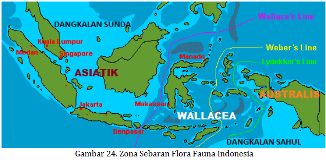 Detail Gambar Persebaran Flora Dan Fauna Di Indonesia Nomer 45