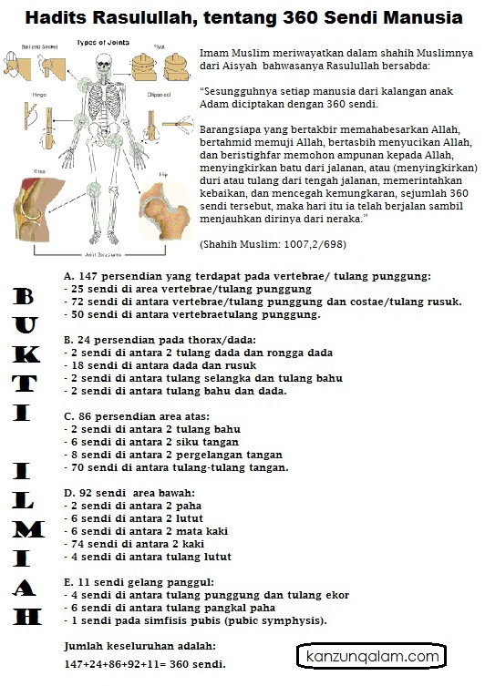 Detail Gambar Persendian Manusia Nomer 28