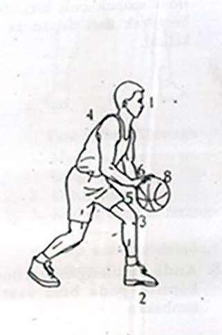 Detail Gambar Persiapan Shooting Bola Basket Nomer 37