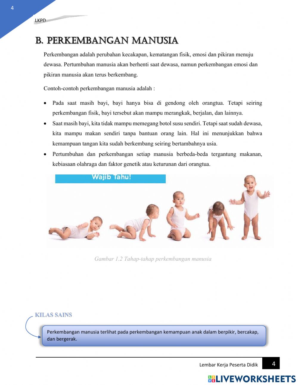 Detail Gambar Pertumbuhan Dan Perkembangan Manusia Nomer 18