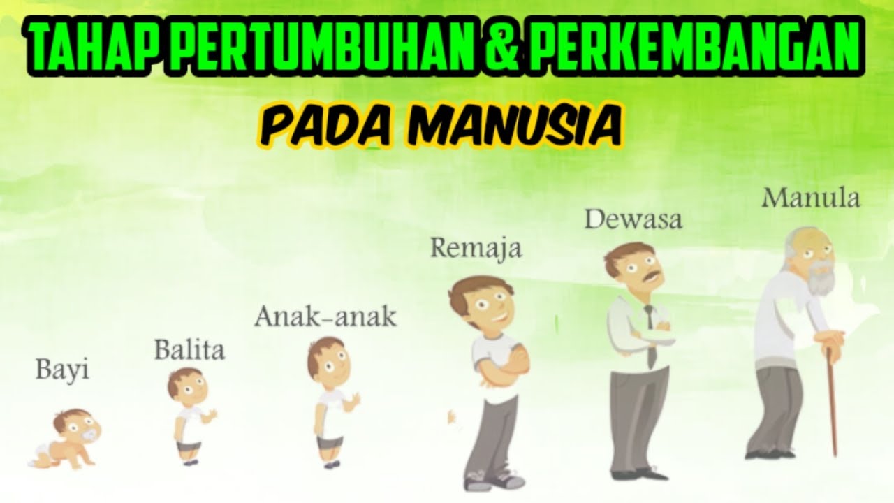 Detail Gambar Pertumbuhan Dan Perkembangan Manusia Nomer 30