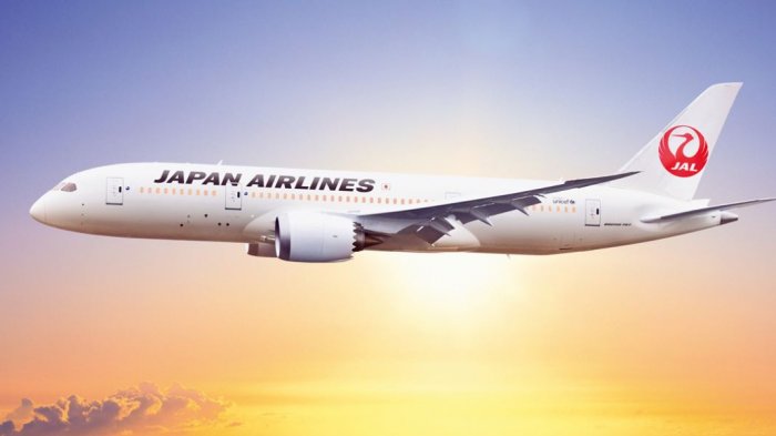 Detail Gambar Pesawat Japan Airlines Nomer 11