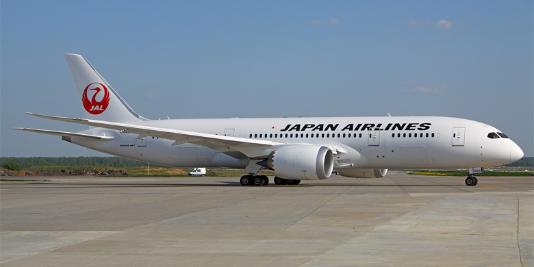 Detail Gambar Pesawat Japan Airlines Nomer 19