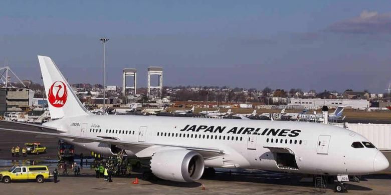 Detail Gambar Pesawat Japan Airlines Nomer 9