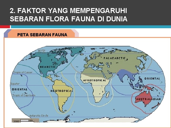 Detail Gambar Peta Persebaran Fauna Di Dunia Nomer 23