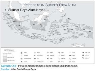 Detail Gambar Peta Persebaran Persawahan Di Indonesia Nomer 7