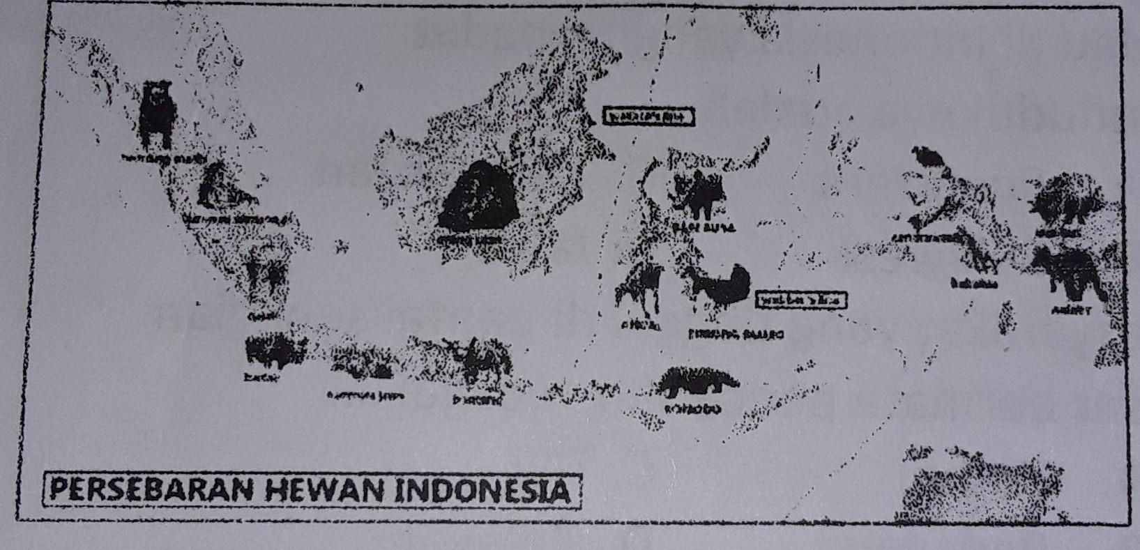 Detail Gambar Peta Pulau Jawa Hitam Putih Nomer 42